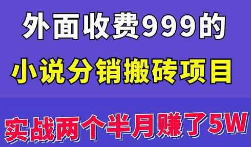 外面收费999的小说分销搬砖项目：实战两个半月赚了5W块，操作简单！￼-创客军团