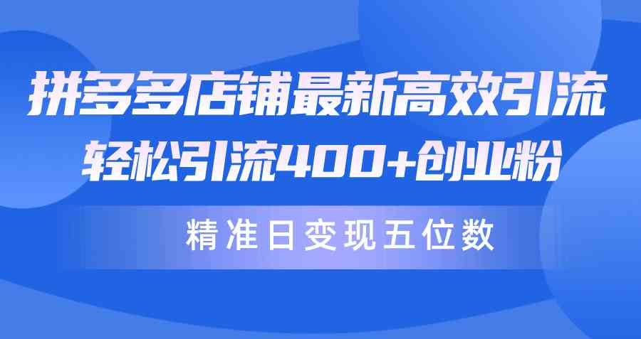 （10041期）拼多多店铺最新高效引流术，轻松引流400+创业粉，精准日变现五位数！-创客军团