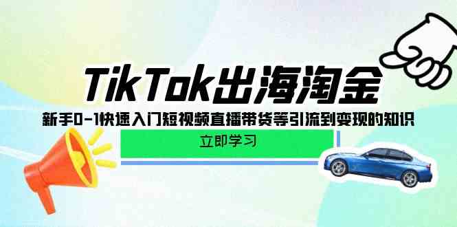 （10035期）TikTok-出海淘金，新手0-1快速入门短视频直播带货等引流到变现的知识-创客军团