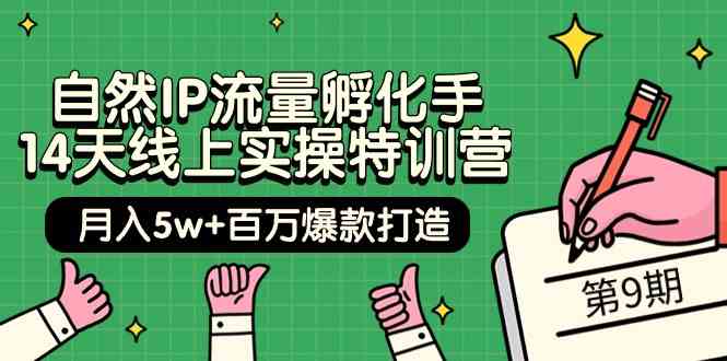 （9881期）自然IP流量孵化手 14天线上实操特训营【第9期】月入5w+百万爆款打造 (74节)-创客军团