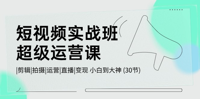 短视频实战班超级运营课 |剪辑|拍摄|运营|直播|变现 小白到大神 (30节)-创客军团