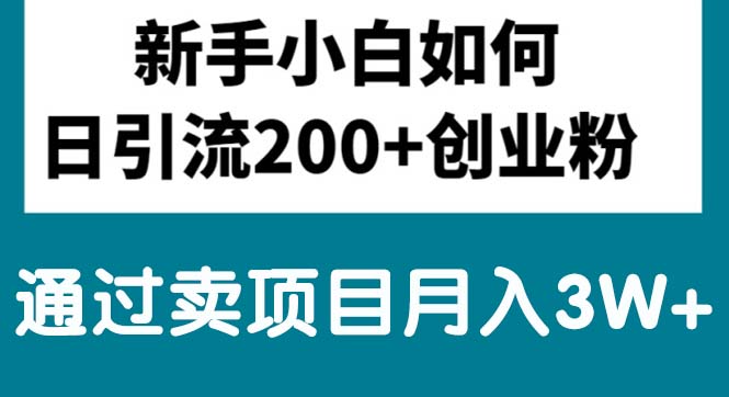 （10843期）新手小白日引流200+创业粉,通过卖项目月入3W+-创客军团