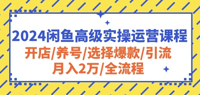 2024闲鱼高级实操运营课程：开店/养号/选择爆款/引流/月入2万/全流程-创客军团