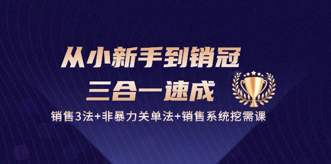 从小新手到销冠三合一速成：销售3法+非暴力关单法+销售系统挖需课 (27节)-创客军团