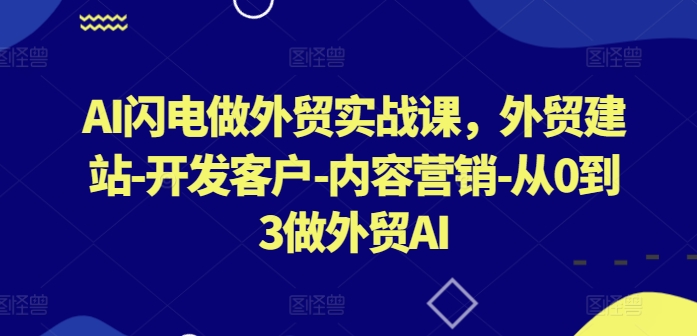 AI闪电做外贸实战课，​外贸建站-开发客户-内容营销-从0到3做外贸AI(更新)-创客军团